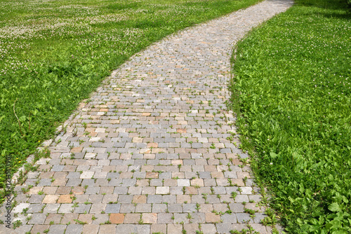 Fragment of a stone path among the grass
