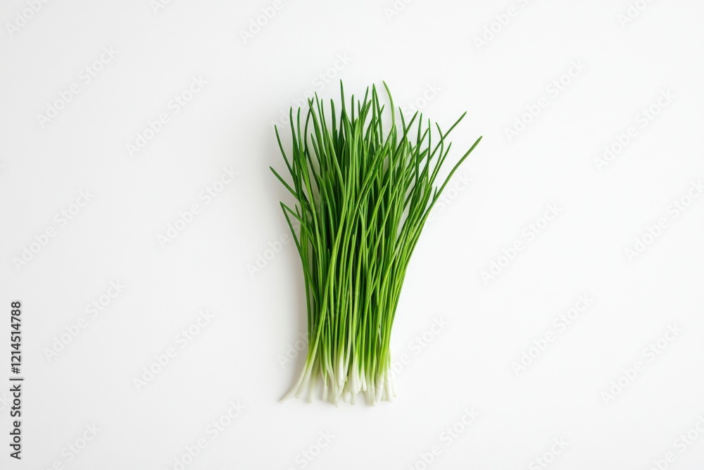 Ultra-realistic UHD photo of chive microgreens, minimalist style, green and white colors, healthy food concept Ultra-realistic UHD photo of chive microgreens, minimalist style, green and white colors, healthy food concept