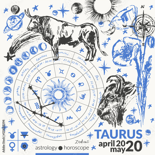 Hand drawn taurus zodiac signs illustration, horoscope background with astrology symbols and talismans