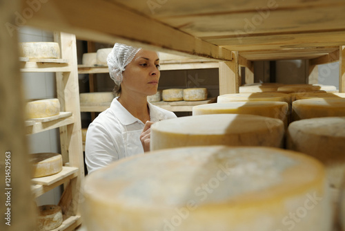 Woman in white inspecting aging cheeses on wooden shelves in cheese cellar. Wearing hair net and white uniform, focused on assessing quality and texture of cheeses photo