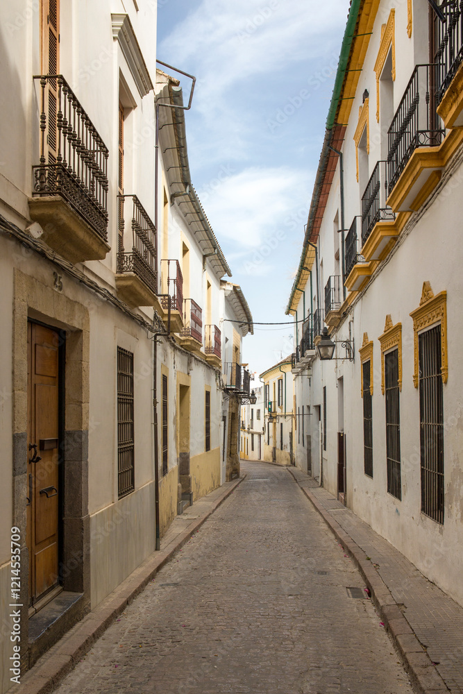 Obraz premium Empty street between houses in Cordoba, Spain.