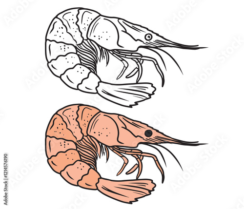 Tasty coloring book design with black and white version of shrimp seafood. Hand drawn vector sketch illustration in doodle engraved vintage line art style. Tasty delicious ready to eat