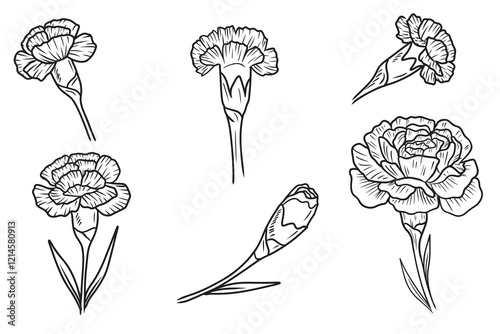 Carnation flowers, bud, with leaves in black on white background. Hand drawn vector sketch illustration in doodle engraved vintage line art style. Botanical art, flower design