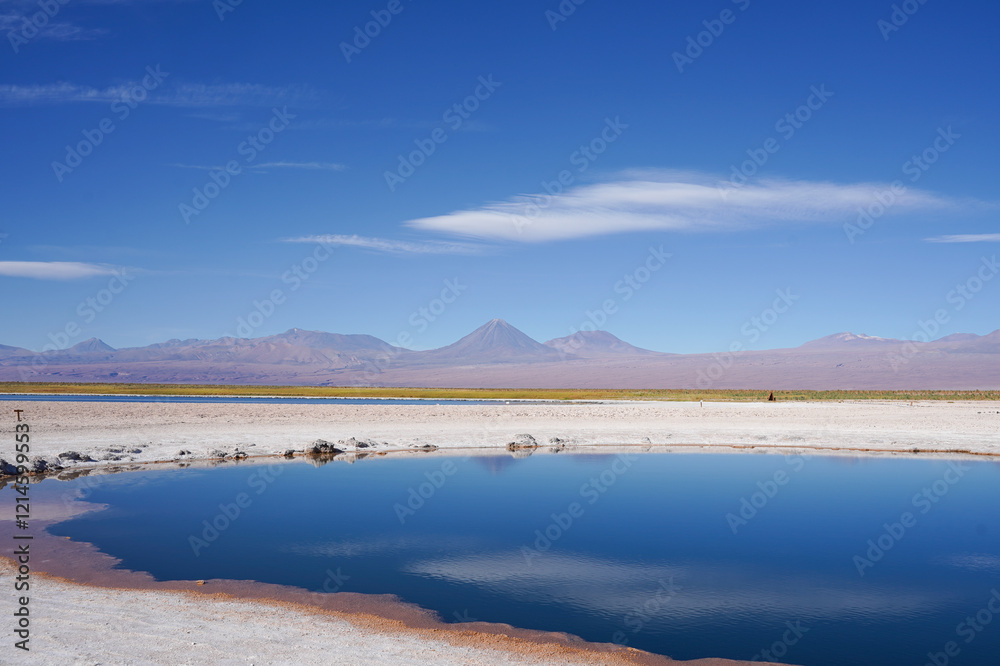 Laguna Cejar, Salar de Atacama, San Pedro de Atacama, Chile Laguna Cejar, Salar de Atacama, San Pedro de Atacama, Chile