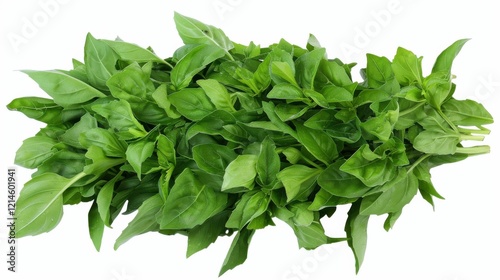 Fresh Basil Leaves – High-Quality Herb Stock Images for Food and Nature Projects photo