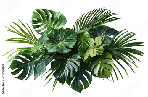 Lush green tropical plants bush, cut out