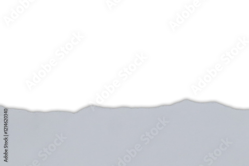 Torn white paper with shadow. Isolated