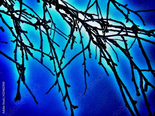 Fotografia Dark branches tree covered ice after rain in frosty winter weather with blue sky  - abstract composition in blue and turquoise colors