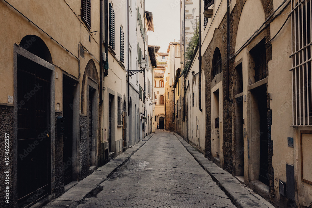 A serene landscape view of a narrow cobbled alley flanked by historic Florentine buildings A serene landscape view of a narrow cobbled alley flanked by historic Florentine buildings