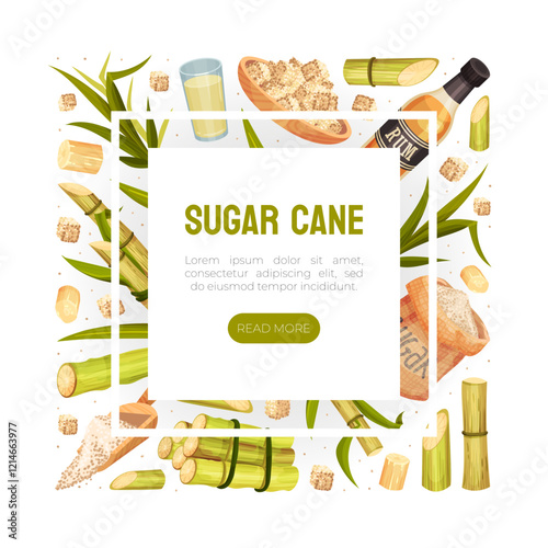 Sugar Cane Banner Design with Stem Plant Vector Template