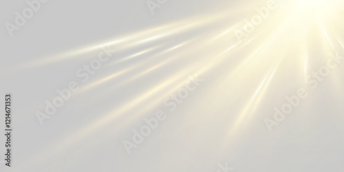 Vector transparent sunlight special lens flash light effect.front sun lens flash. Vector blur in the light of radiance. Element of decor.