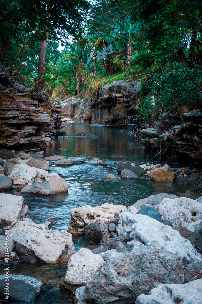 This tranquil river scene showcases smooth stones lining the water's edge, surrounded by lush greenery. The gentle flow of the river reflects the vibrant foliage, creating a peaceful atmosphere This tranquil river scene showcases smooth stones lining the water's edge, surrounded by lush greenery. The gentle flow of the river reflects the vibrant foliage, creating a peaceful atmosphere