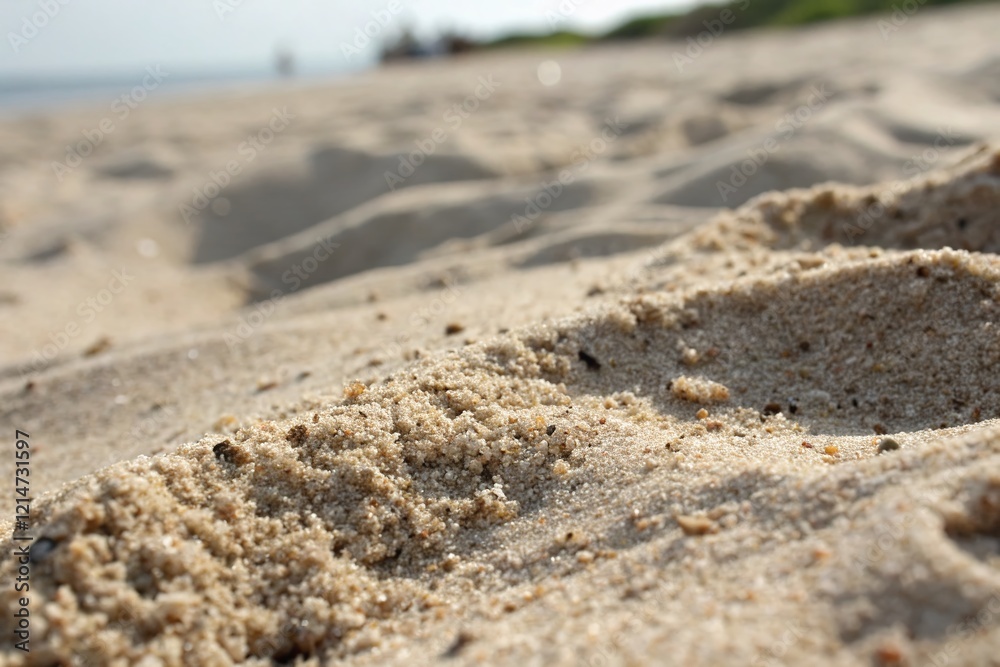 Close-up Texture of Fine Sand, Desert Grains, Natural Background Close-up Texture of Fine Sand, Desert Grains, Natural Background