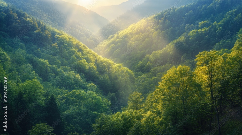Fototapeta premium Sunlit mountain valley, lush green forest, misty sunrise, nature tranquility, scenic wallpaper