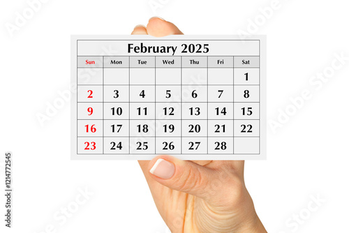 Page of the annual monthly calendar february 2025 in hand. Isolated on transparent png