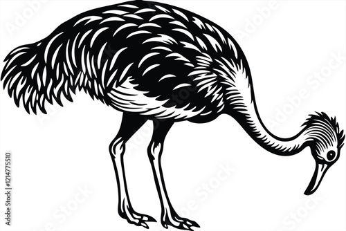 Abstract vector illustration of beautiful ostrich