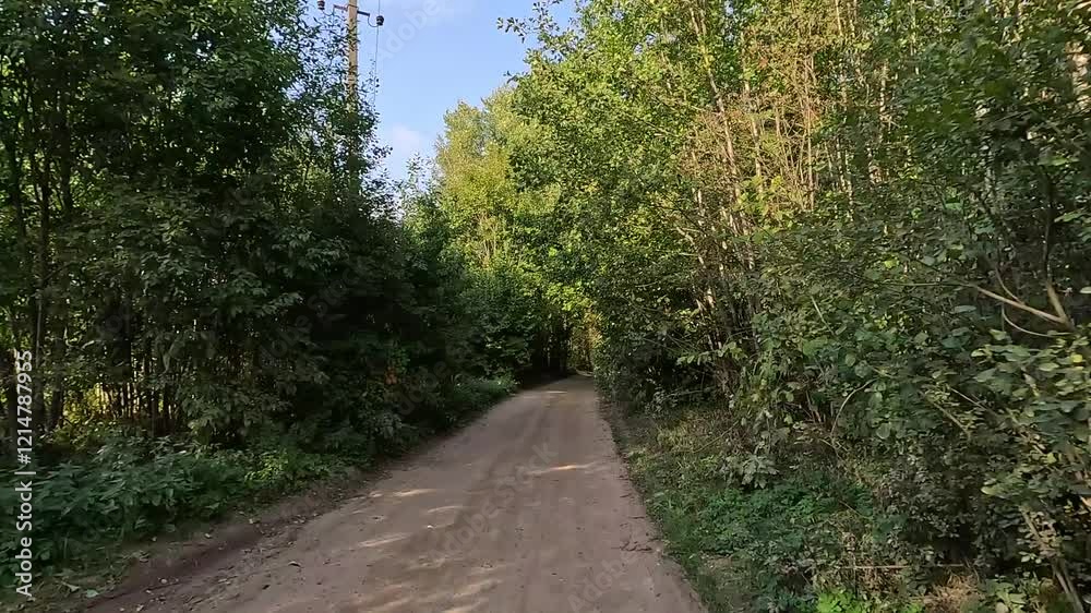 Rural road, the roadside and green forest, the path along the sand and earth. Rural road, the roadside and green forest, the path along the sand and earth.