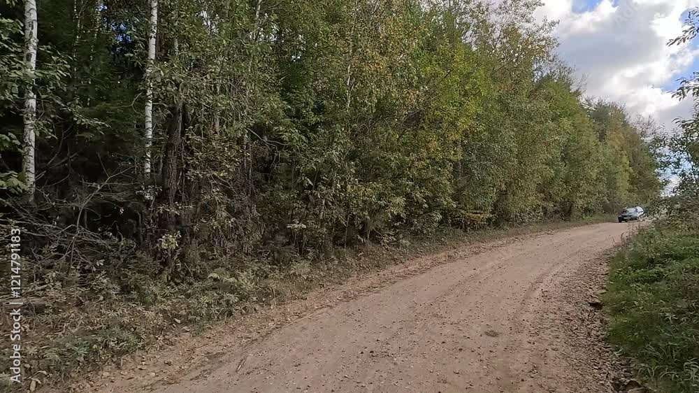 Rural road, the roadside and green forest, the path along the sand and earth. Rural road, the roadside and green forest, the path along the sand and earth.
