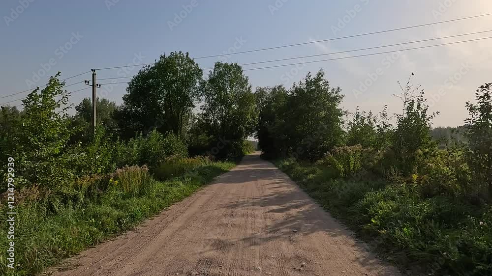 Rural road, the roadside and green forest, the path along the sand and earth. Rural road, the roadside and green forest, the path along the sand and earth.