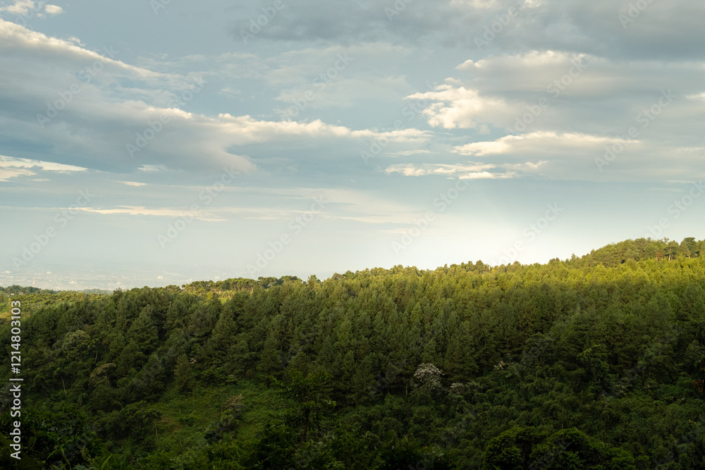 Lush Green Hills Under a Bright Sky