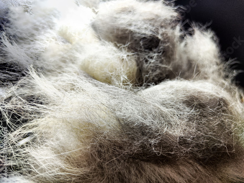 Fluffy white fibers create an abstract texture perfect for design projects and backgrounds photo