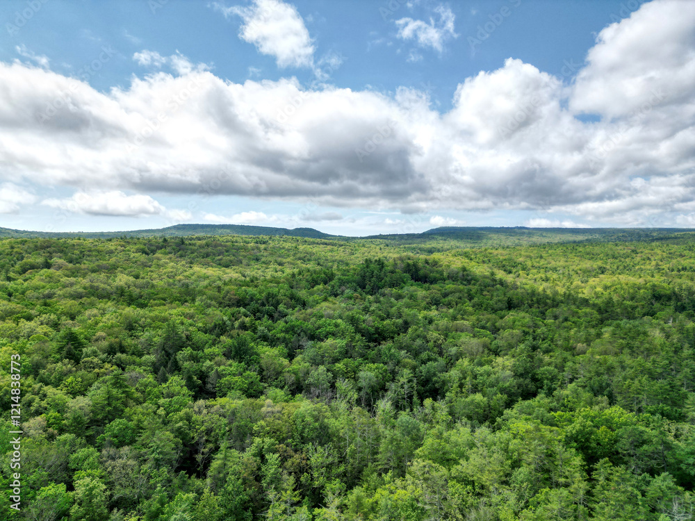 aerial view of the shawangunk ridge (minnewaska state park and mohonk preserve) Appalachian Mountains eastern united states (usa new paltz accord new york state) upstate hills hiking forest scenic aerial view of the shawangunk ridge (minnewaska state park and mohonk preserve) Appalachian Mountains eastern united states (usa new paltz accord new york state) upstate hills hiking forest scenic