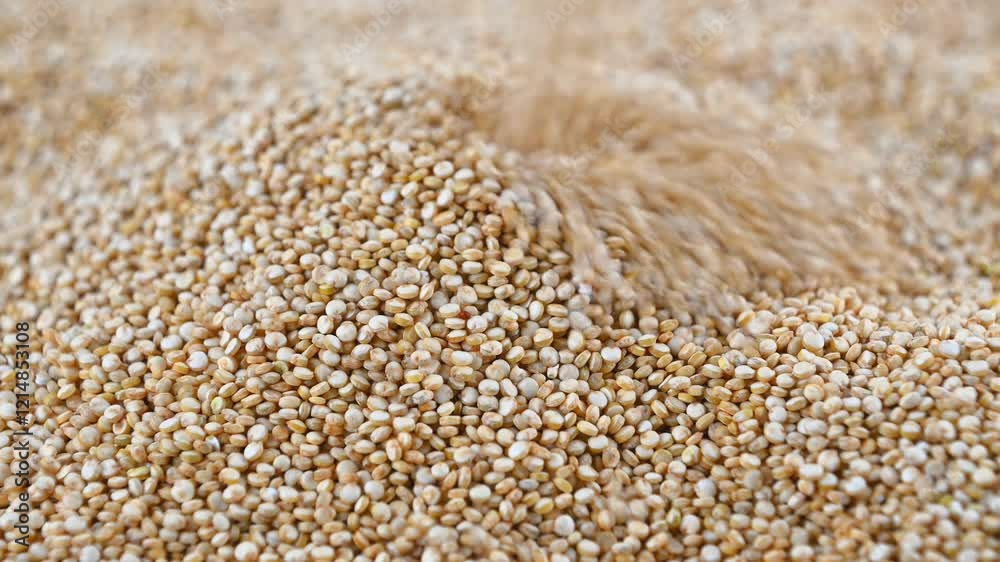 White quinoa, close-up. Chenopodium quinoa. seeds are rich in protein, dietary fiber, B vitamins, minerals. Healthy nutrition, vegan food. White quinoa, close-up. Chenopodium quinoa. seeds are rich in protein, dietary fiber, B vitamins, minerals. Healthy nutrition, vegan food.