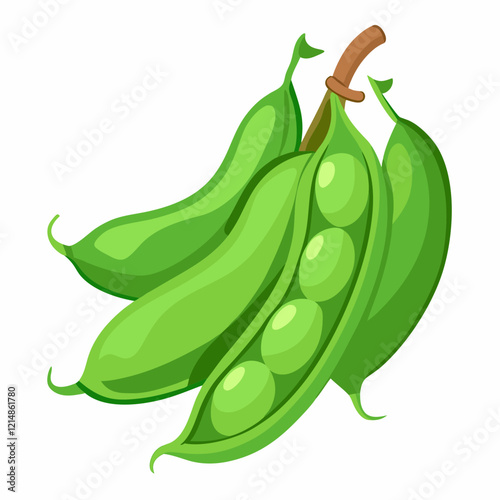 illustration of a green peas