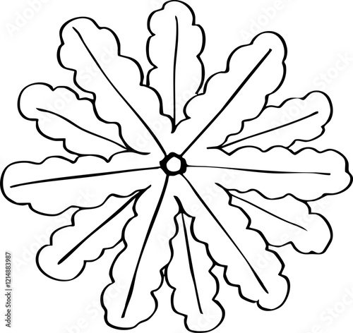 minimalist hand drawn cartoon top view of tree illustration