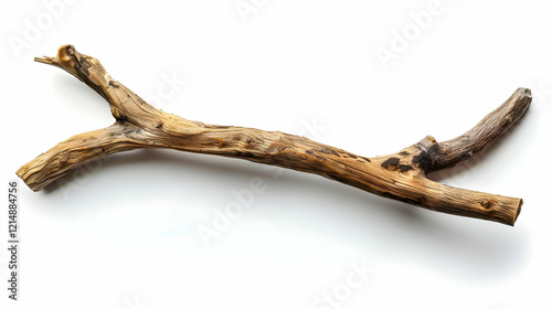 Dry Tree Branch Isolated on...