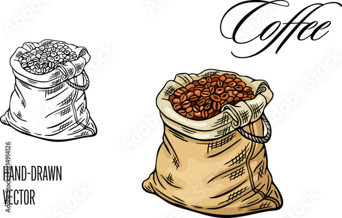 Engraving, coffee bean bag, vector illustration in color and line sketch