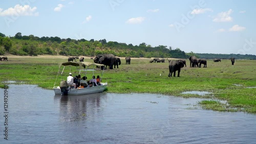 People watching elephants in the Chobe National Park