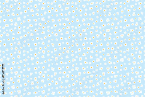 seamless white daisy pattern on light blue background