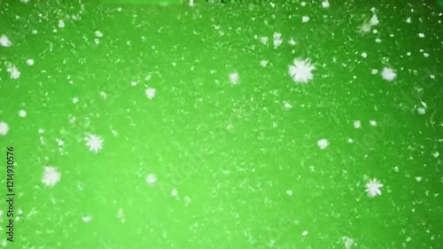 Falling Snow on Green Screen Background 4K. Isolated Snowfall and Snowflakes on a Green Screen. Chroma Key Green Screen Alpha Channel Background. Motion Graphic Video Animation