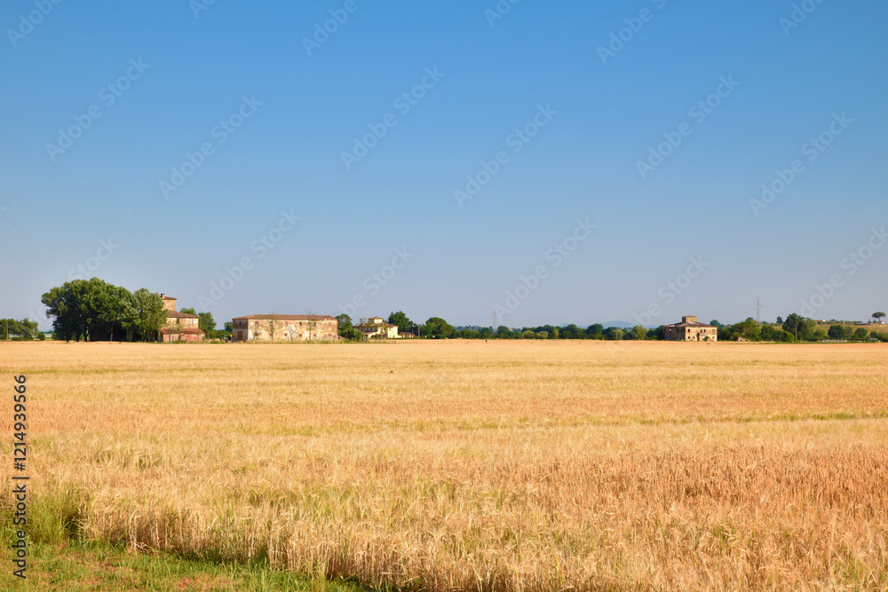 Fototapeta premium Campagna