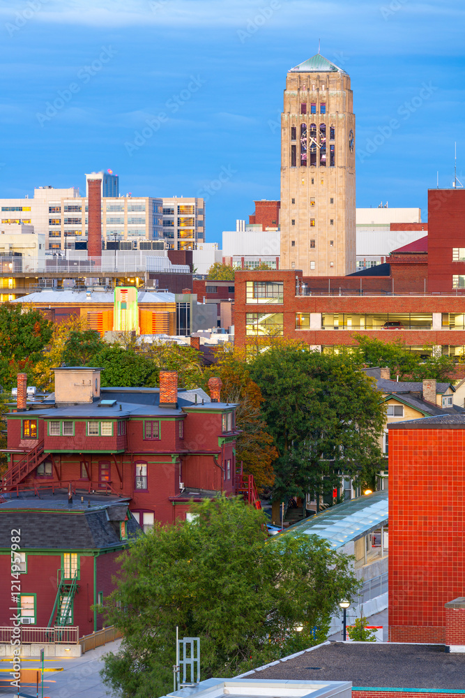 Ann Arbor, Michigan, USA Town Skyline