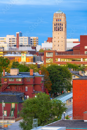 Ann Arbor, Michigan, USA Town Skyline