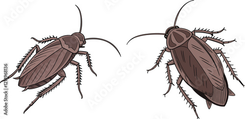 Roach bundle design art and illustrator eps