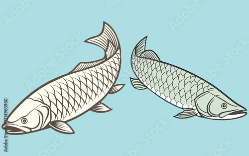 Arapaima fish bundle design art and illustrator eps