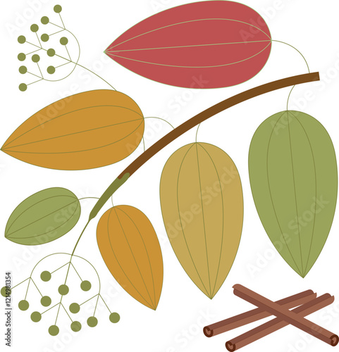 Cinnamon vector illustration