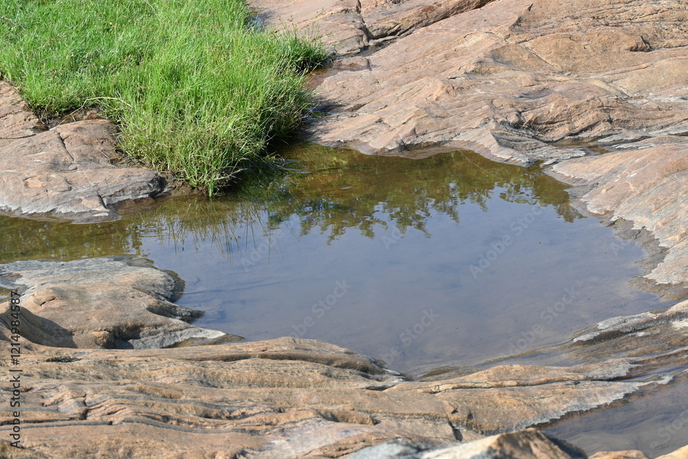 Water has collected on the rock's surface. The rock is a brown color and smooth. In hilly areas, during monsoon season, rain water gets collected in these rocks. Small water pond on top of the rock. Water has collected on the rock's surface. The rock is a brown color and smooth. In hilly areas, during monsoon season, rain water gets collected in these rocks. Small water pond on top of the rock.