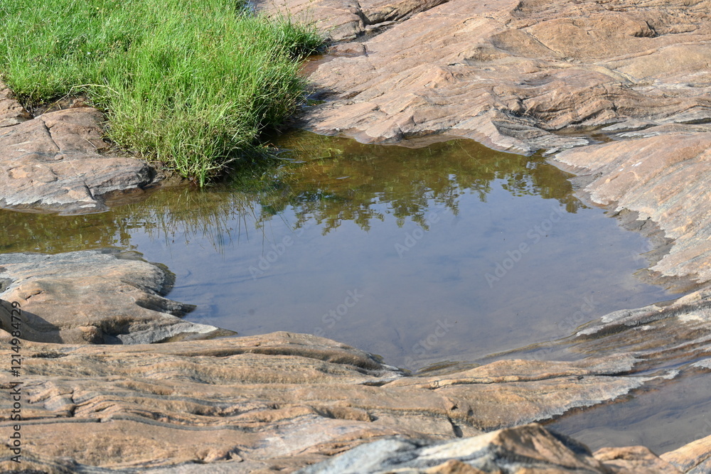 Water has collected on the rock's surface. The rock is a brown color and smooth. In hilly areas, during monsoon season, rain water gets collected in these rocks. Small water pond on top of the rock. Water has collected on the rock's surface. The rock is a brown color and smooth. In hilly areas, during monsoon season, rain water gets collected in these rocks. Small water pond on top of the rock.