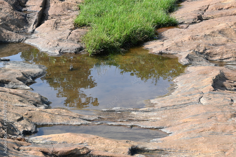 Water has collected on the rock's surface. The rock is a brown color and smooth. In hilly areas, during monsoon season, rain water gets collected in these rocks. Small water pond on top of the rock. Water has collected on the rock's surface. The rock is a brown color and smooth. In hilly areas, during monsoon season, rain water gets collected in these rocks. Small water pond on top of the rock.