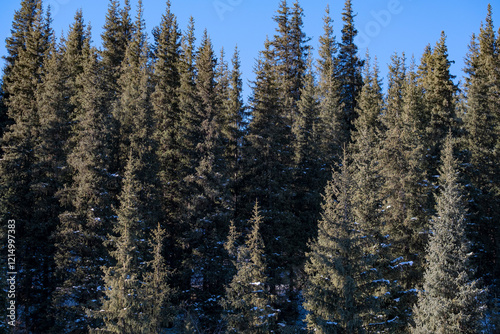 Beautiful winter landscape high in the mountains not far from Almaty, 