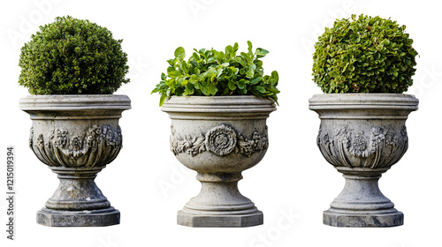 Set of three ornate stone planters with lush greenery on isolated transparent PNG background, ideal for garden design, landscaping concepts, and decorative projects photo