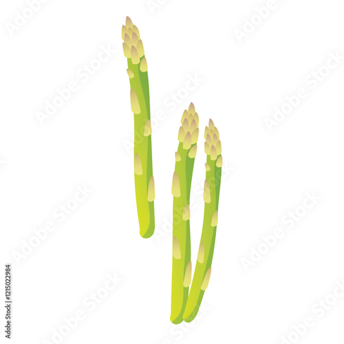 Green asparagus stems in flat design. Natural organic vegetable bunch. Vector illustration isolated.