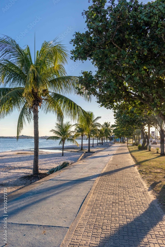 Beachfront Walkway Lined with Palm Trees at Sunset Beachfront Walkway Lined with Palm Trees at Sunset