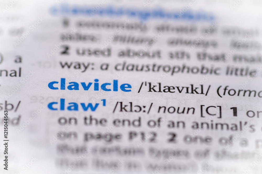 Clavicle word in a dictionary. Selective focus, close up. Clavicle word in a dictionary. Selective focus, close up.
