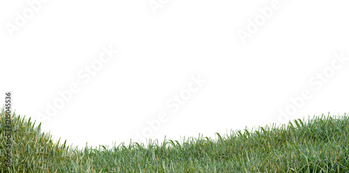 Fresh green grass isolated PNG against a transparent background 