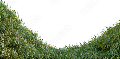 Fresh green grass isolated against a transparent background PNG